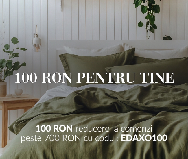 100 RON